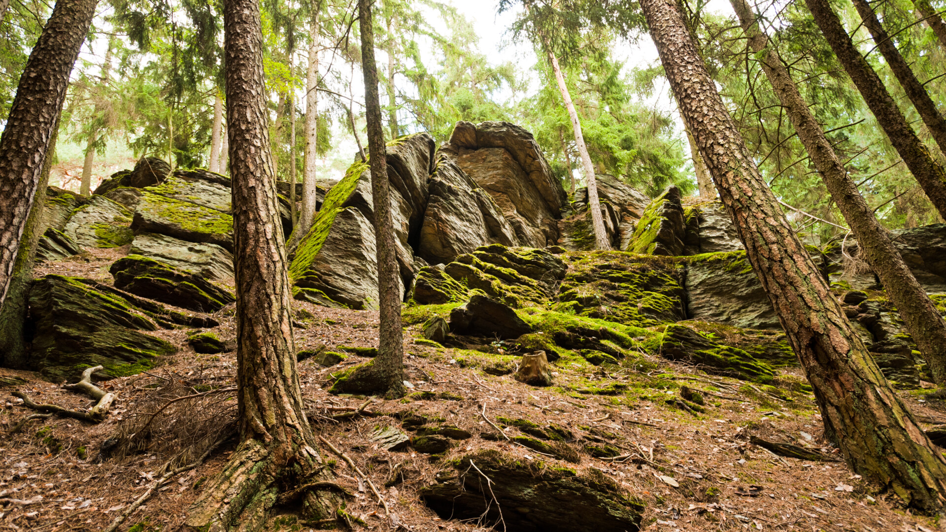 Lahn-Dill-Bergland-2011-049